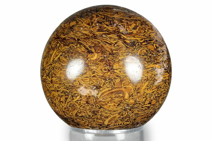 Polished Miriam Jasper Sphere - India #343028